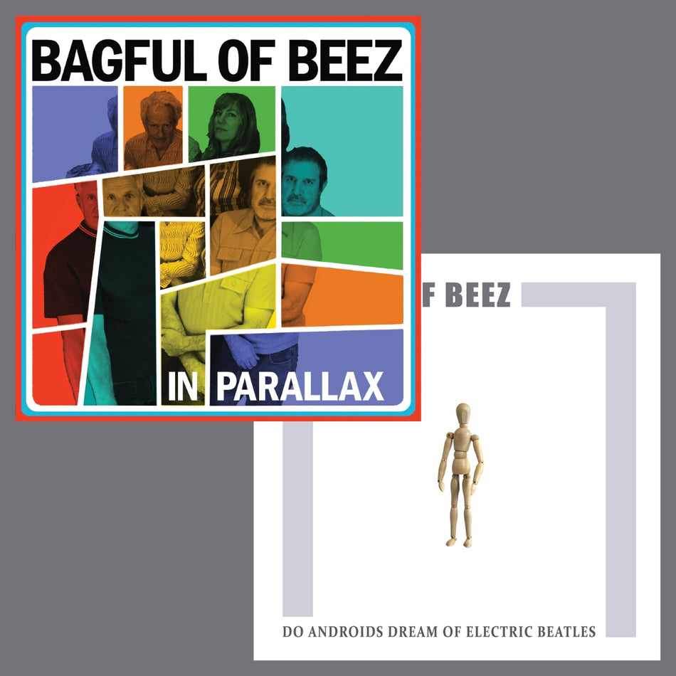 Bagful of Beez - In Parallax LP - Orange Vinyl - PRE-ORDER